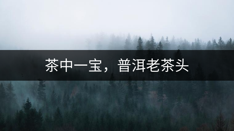 茶中一寶，普洱老茶頭