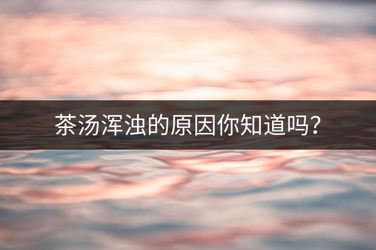 茶湯渾濁的原因你知道嗎？