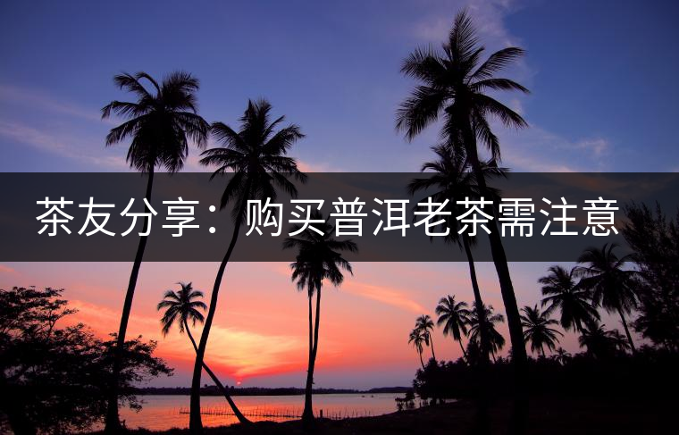 茶友分享:購(gòu)買普洱老茶需注意“三不買” 茶友分享:購(gòu)買普洱老茶需注意“三不買”