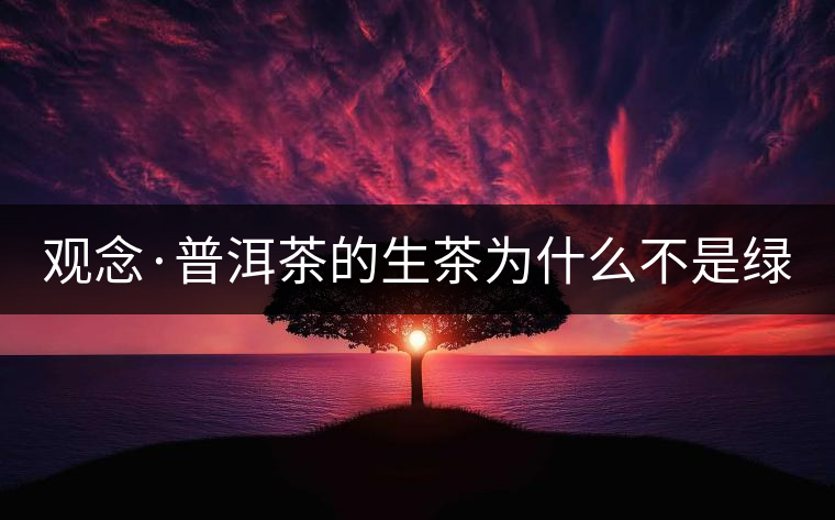 觀念·普洱茶的生茶為什么不是綠茶？