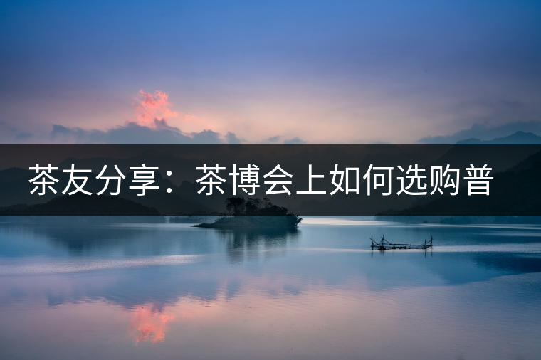 茶友分享：茶博會上如何選購普洱茶？