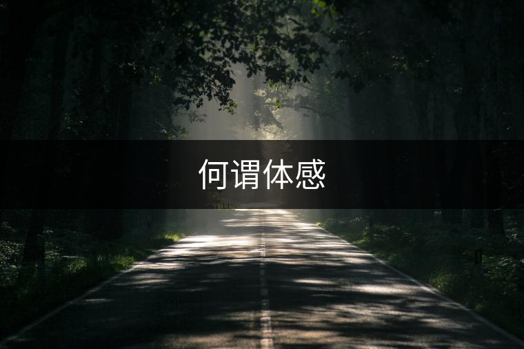 何謂體感 何謂體感