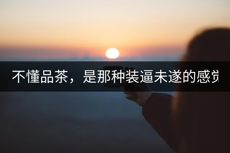 不懂品茶，是那種裝逼未遂的感覺？