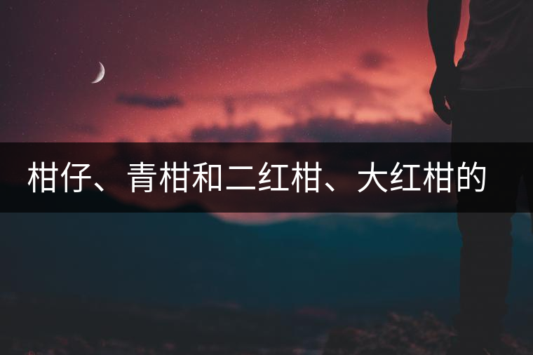 柑仔、青柑和二紅柑、大紅柑的區(qū)別，你可知道？