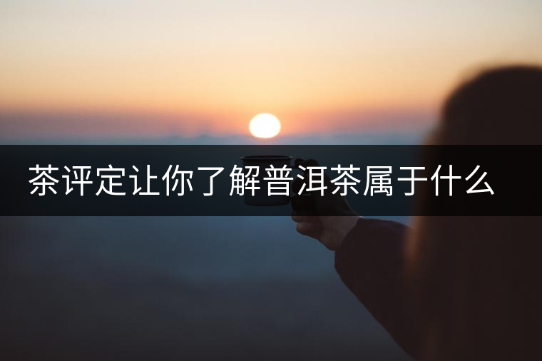 茶評定讓你了解普洱茶屬于什么茶系？