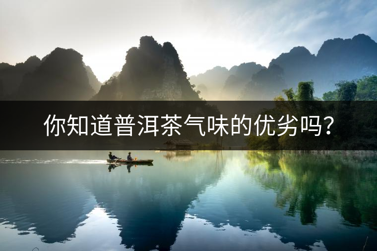 你知道普洱茶氣味的優(yōu)劣嗎? 你知道普洱茶氣味的優(yōu)劣嗎?