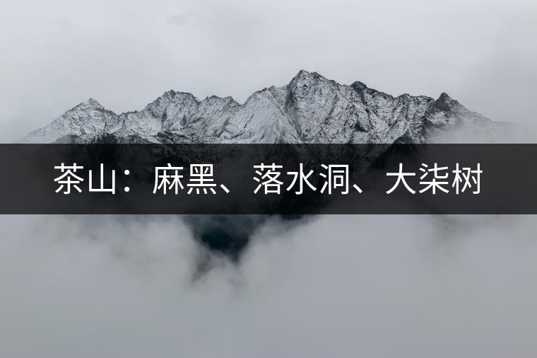 茶山：麻黑、落水洞、大柒樹