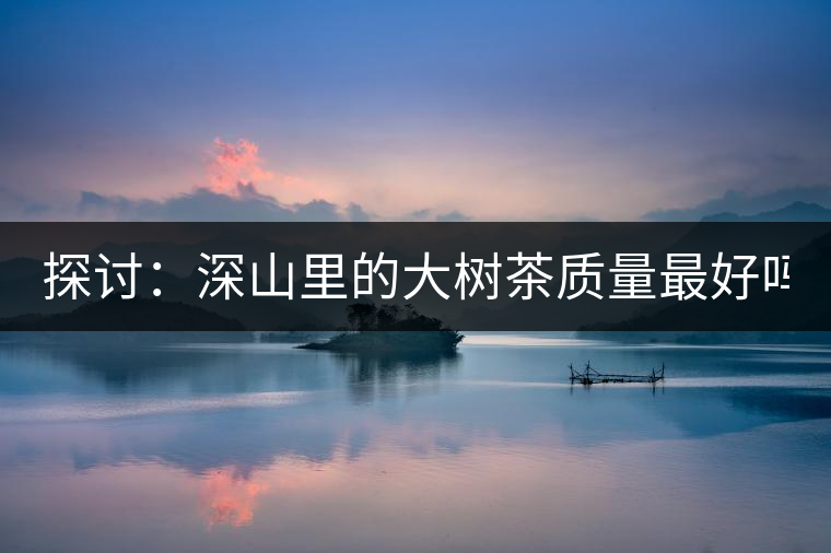 探討：深山里的大樹茶質(zhì)量最好嗎？