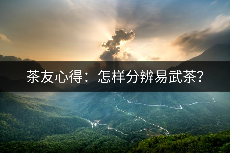 茶友心得:怎樣分辨易武茶? 茶友心得:怎樣分辨易武茶?