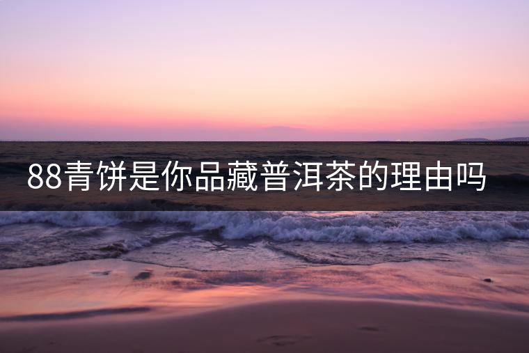 88青餅是你品藏普洱茶的理由嗎？