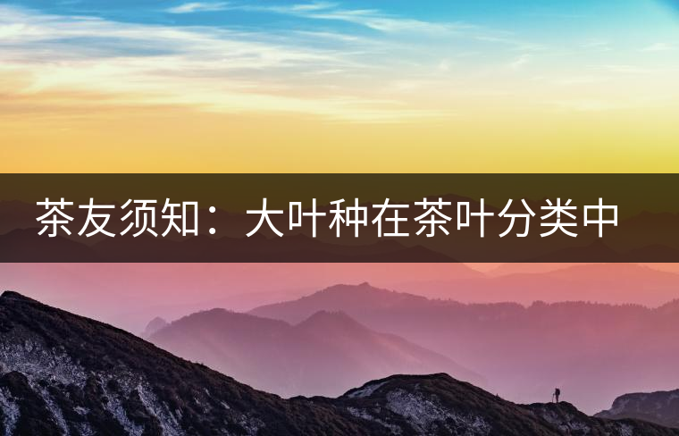 茶友須知:大葉種在茶葉分類(lèi)中的地位 茶友須知:大葉種在茶葉分類(lèi)中的地位
