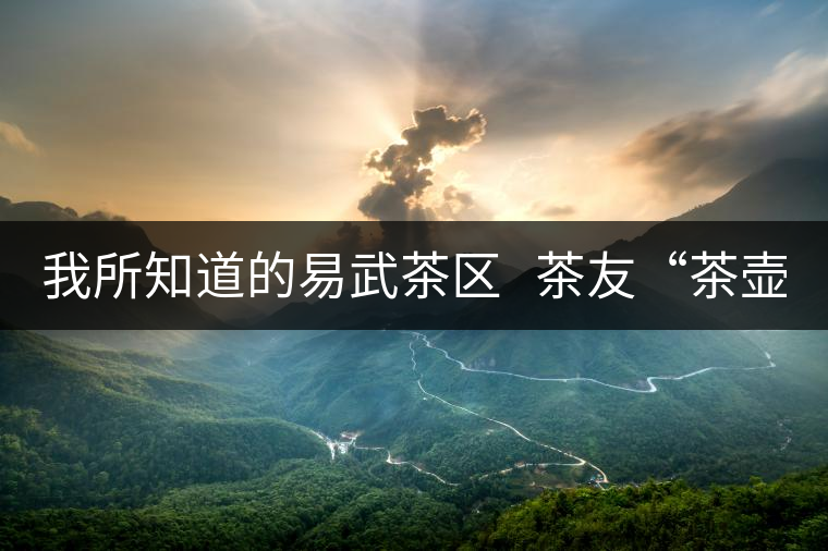 我所知道的易武茶區(qū) 茶友“茶壺花花” 我所知道的易武茶區(qū) 茶友“茶壺花花”
