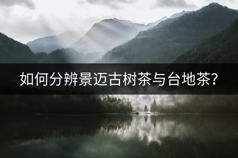 如何分辨景邁古樹茶與臺(tái)地茶？