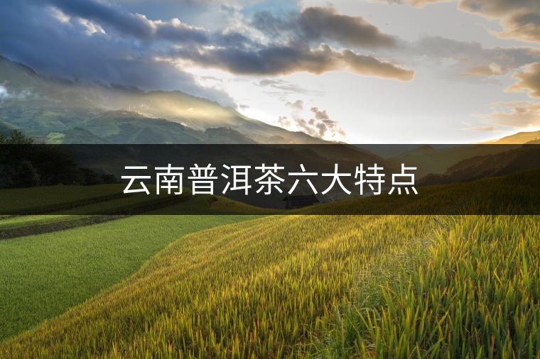 云南普洱茶六大特點 云南普洱茶六大特點