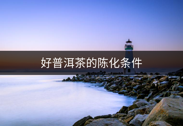 好普洱茶的陳化條件 好普洱茶的陳化條件