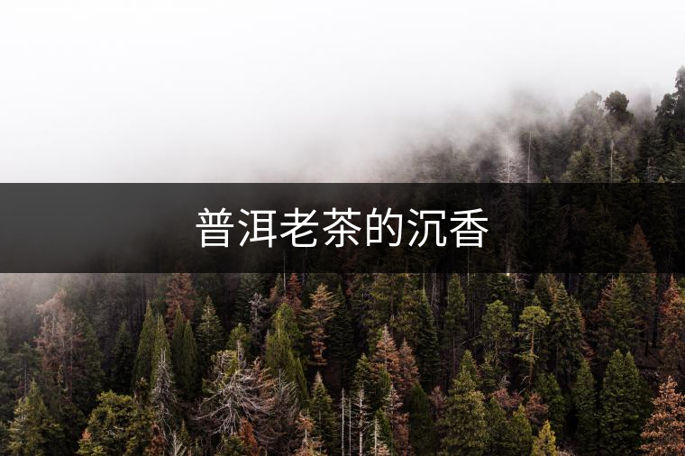 普洱老茶的沉香