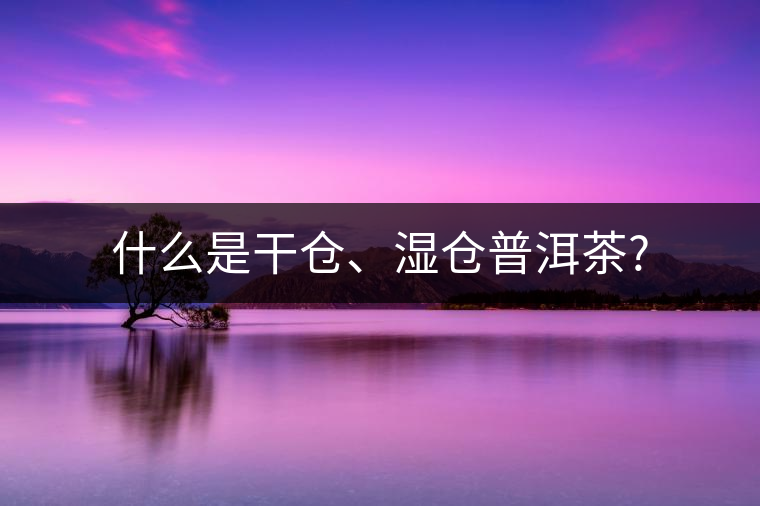 什么是干倉、濕倉普洱茶?