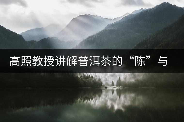 高照教授講解普洱茶的“陳”與“香” 高照教授講解普洱茶的“陳”與“香”