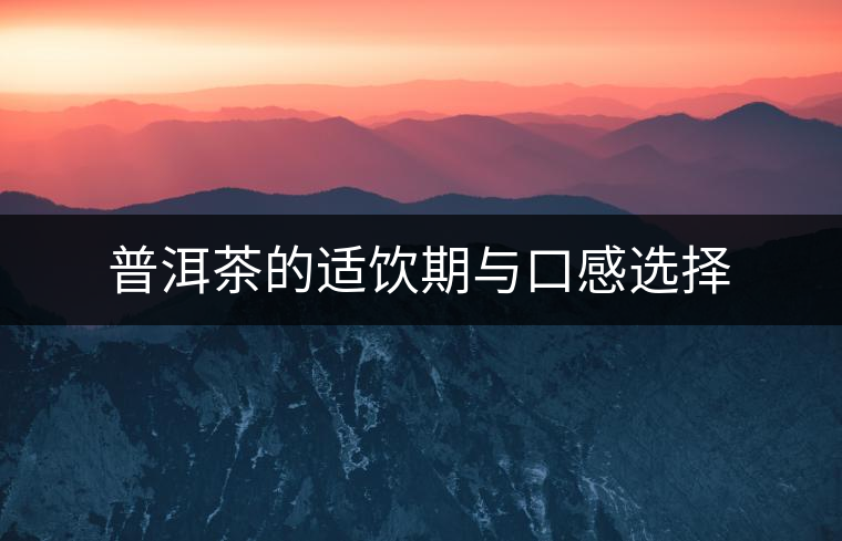 普洱茶的適飲期與口感選擇 普洱茶的適飲期與口感選擇