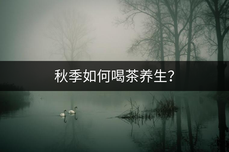 秋季如何喝茶養(yǎng)生？