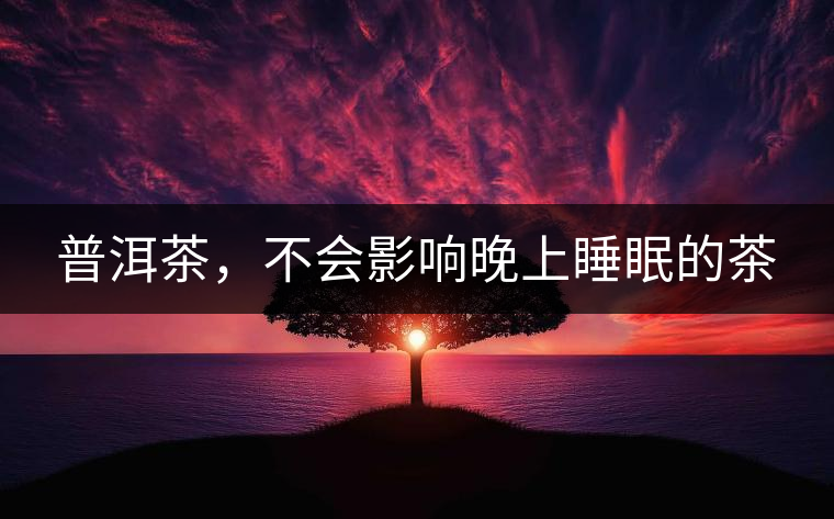 普洱茶,不會(huì)影響晚上睡眠的茶 普洱茶,不會(huì)影響晚上睡眠的茶