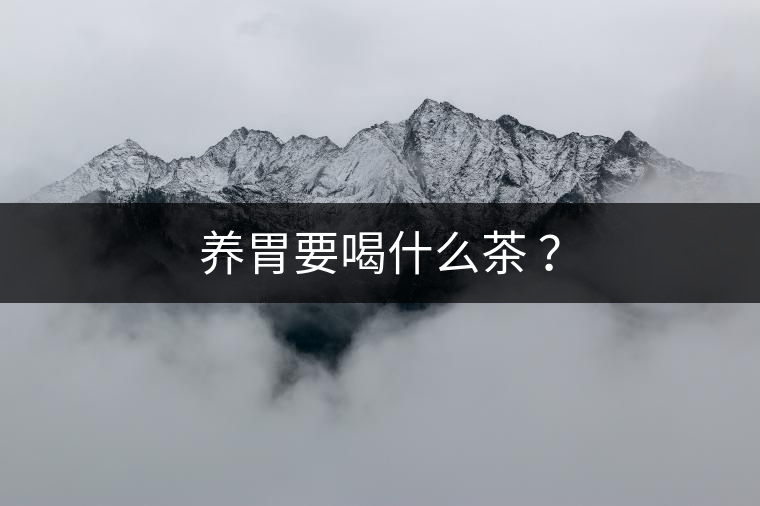 養(yǎng)胃要喝什么茶 ？