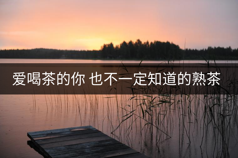 愛喝茶的你 也不一定知道的熟茶知識(shí)！