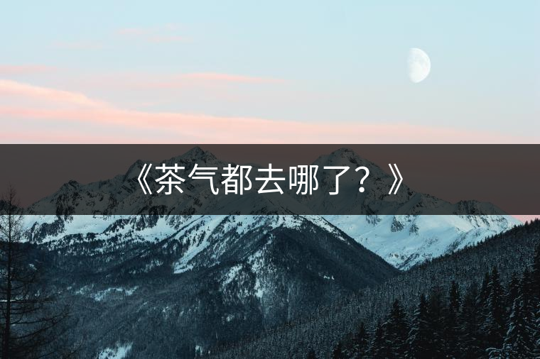 《茶氣都去哪了？》