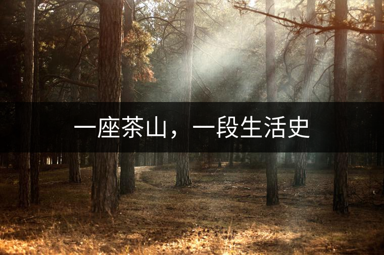 一座茶山，一段生活史