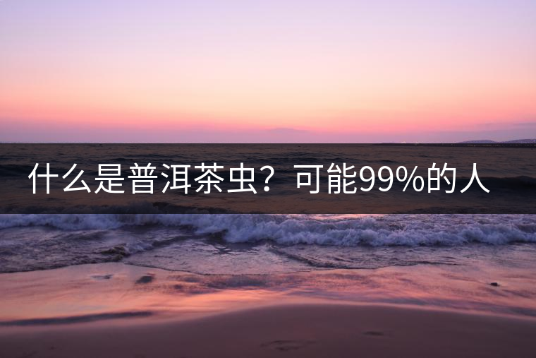 什么是普洱茶蟲？可能99%的人都不知道
