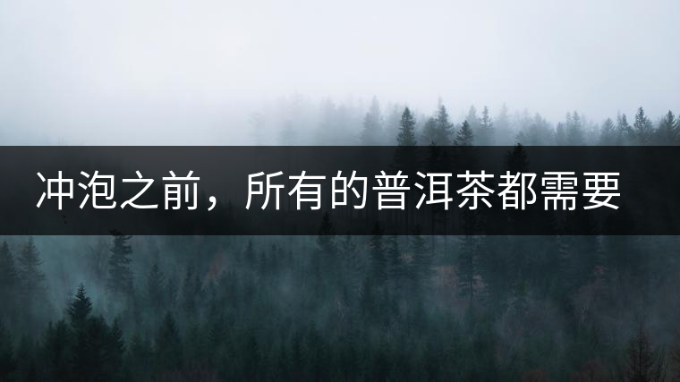 沖泡之前，所有的普洱茶都需要醒茶嗎？