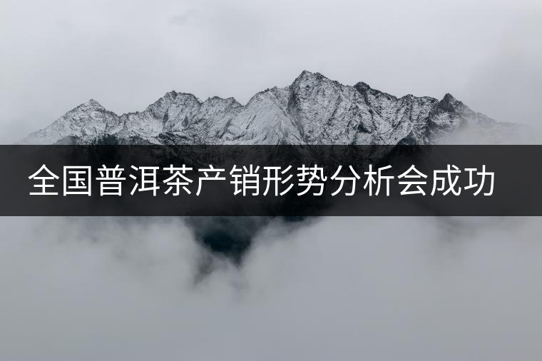 全國(guó)普洱茶產(chǎn)銷(xiāo)形勢(shì)分析會(huì)成功召開(kāi)
