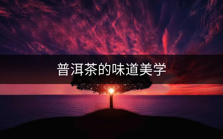 普洱茶的味道美學(xué)