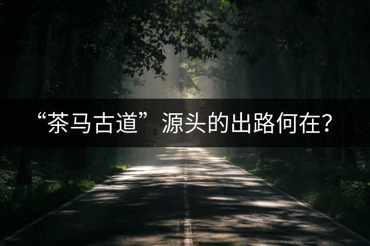 “茶馬古道”源頭的出路何在？