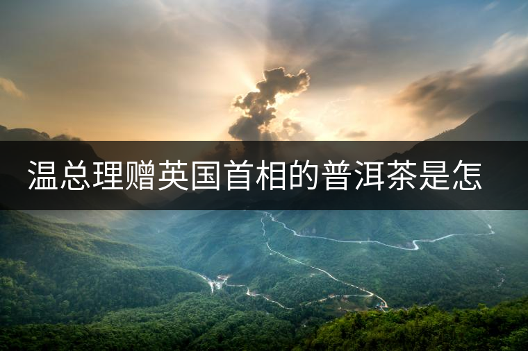 溫總理贈(zèng)英國首相的普洱茶是怎么制作的？