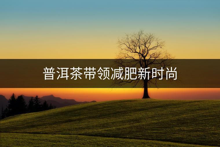 普洱茶帶領(lǐng)減肥新時(shí)尚