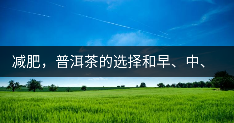 減肥，普洱茶的選擇和早、中、晚的喝法