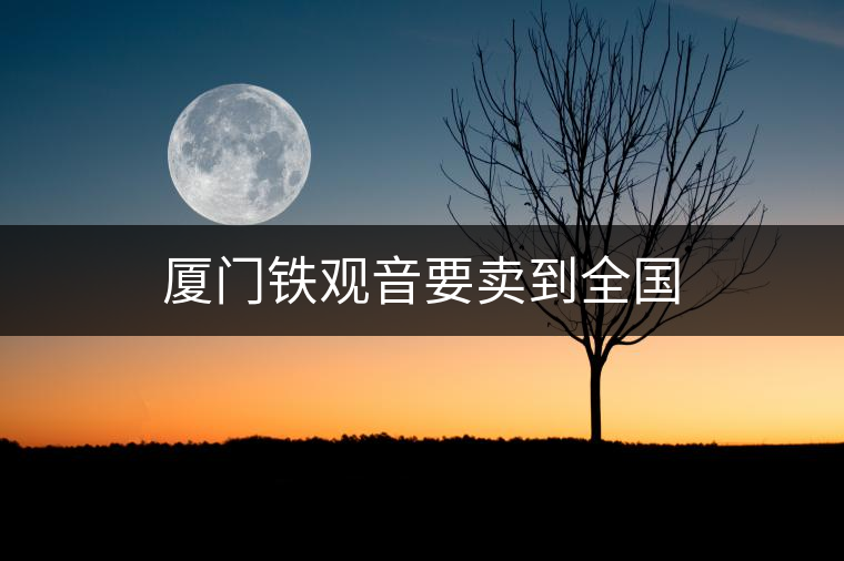 廈門鐵觀音要賣到全國