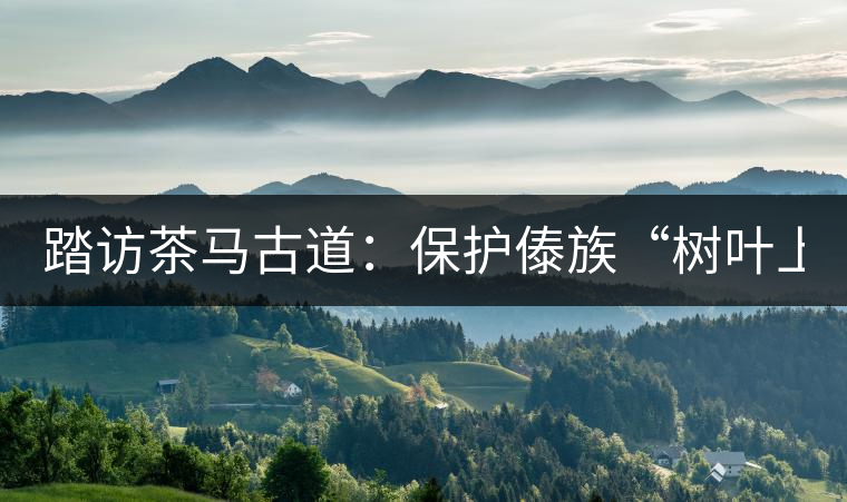 踏訪茶馬古道:保護(hù)傣族“樹(shù)葉上的文明” 踏訪茶馬古道:保護(hù)傣族“樹(shù)葉上的文明”
