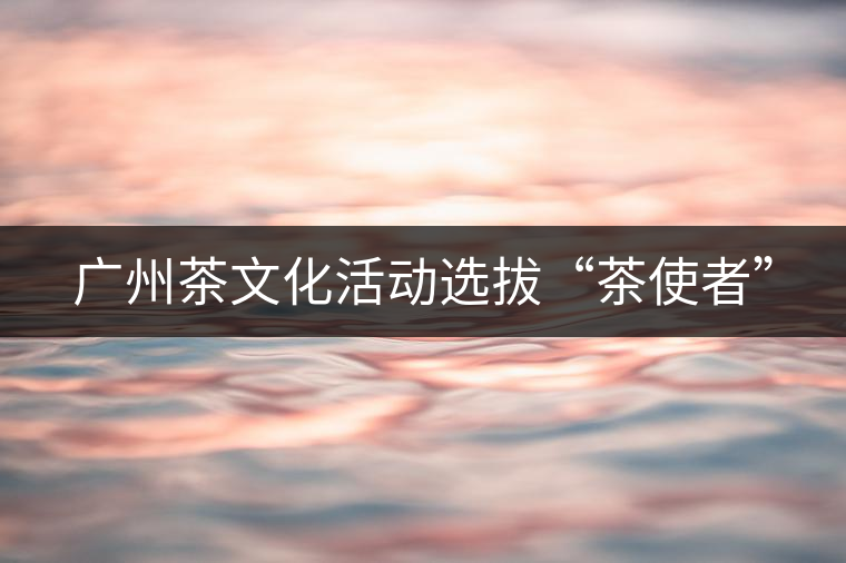 廣州茶文化活動選拔“茶使者” 廣州茶文化活動選拔“茶使者”