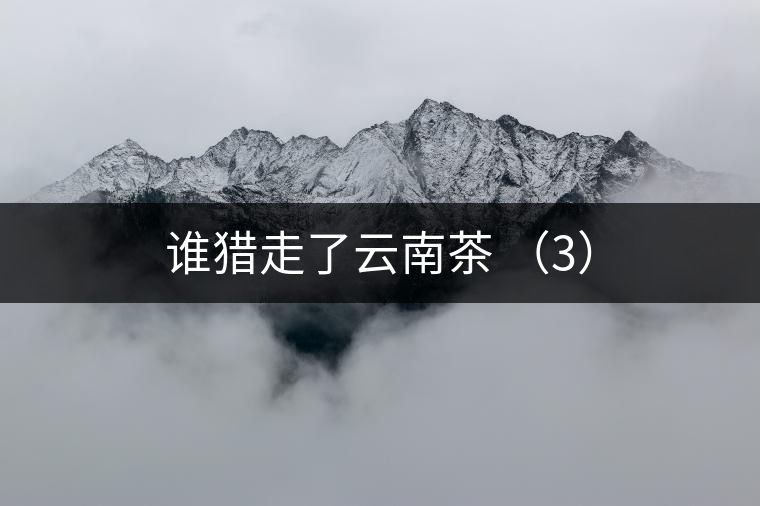 誰獵走了云南茶 (3) 誰獵走了云南茶 (3)