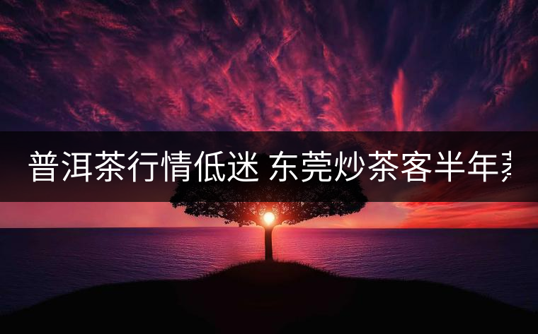 普洱茶行情低迷 東莞炒茶客半年蒸發(fā)370萬元 普洱茶行情低迷 東莞炒茶客半年蒸發(fā)370萬元