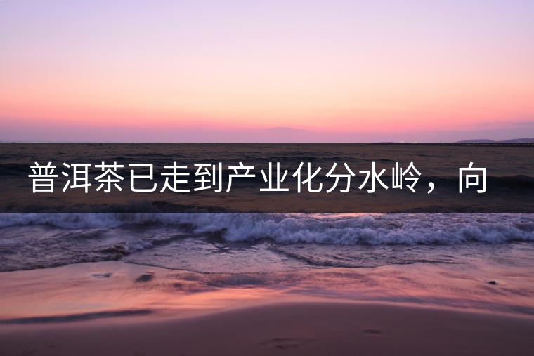 普洱茶已走到產(chǎn)業(yè)化分水嶺，向左還是向右？