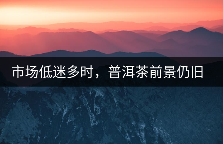 市場低迷多時，普洱茶前景仍舊被大佬們看好