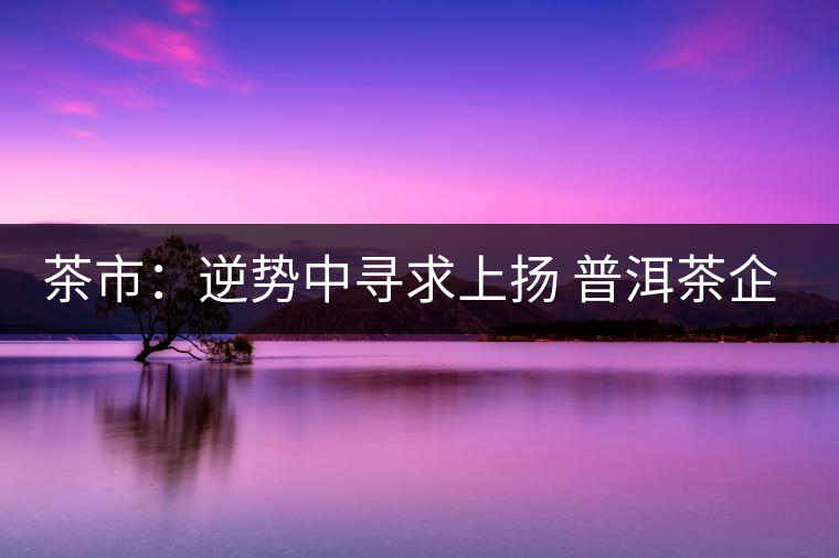茶市：逆勢(shì)中尋求上揚(yáng) 普洱茶企靠什么打贏這場(chǎng)翻身仗？