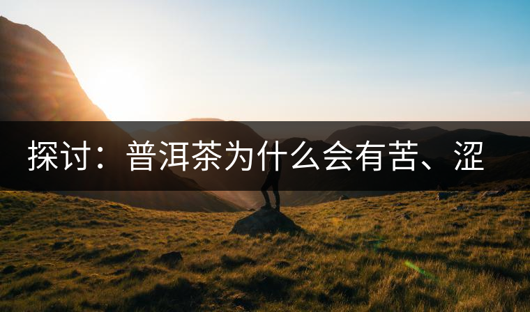 探討：普洱茶為什么會(huì)有苦、澀味兒？