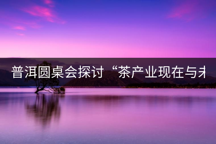 普洱圓桌會(huì)探討“茶產(chǎn)業(yè)現(xiàn)在與未來(lái)” 普洱圓桌會(huì)探討“茶產(chǎn)業(yè)現(xiàn)在與未來(lái)”