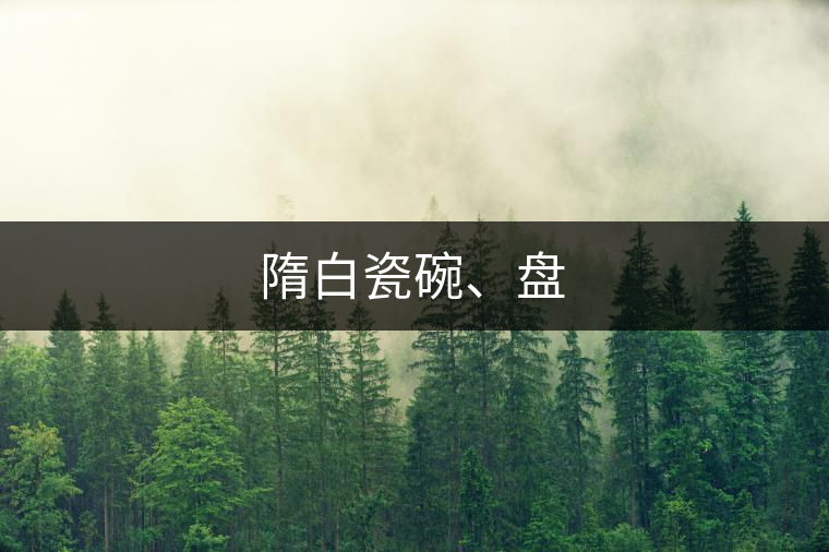 隋白瓷碗、盤