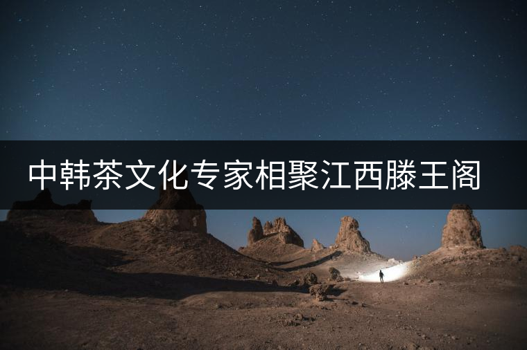 中韓茶文化專家相聚江西滕王閣品茶論道