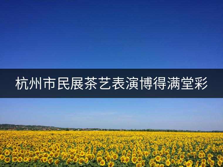 杭州市民展茶藝表演博得滿堂彩 杭州市民展茶藝表演博得滿堂彩